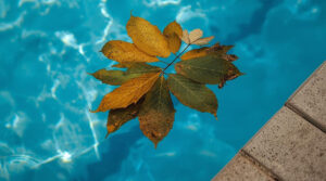 Pool Closing Maintenance