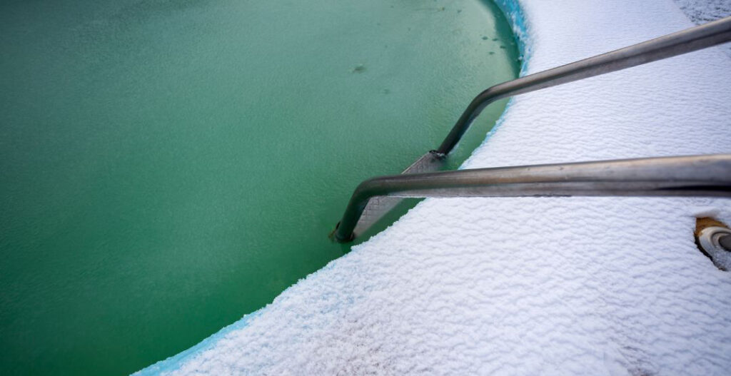 Winter Algae Swimming Pool